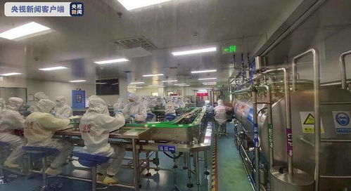 瓣瓣同心 攜手共進丨 舌尖上的京津冀 霸州打造京津雄地區中央廚房