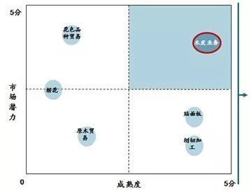 戰略規劃案例復盤:南方略工業品系統營銷方案打造“木業典范,十億中城”