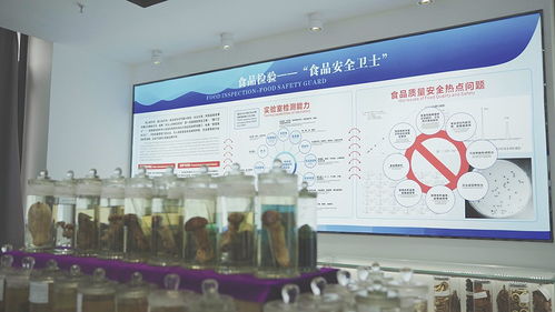 2023年檢驗檢測促進經濟社會創新發展優秀案例