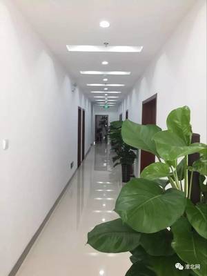 華安證券濉溪淮海路營業部新址開業