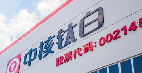 中核鈦白修訂公司章程議案獲通過，財務顧問中心提示股民索賠風險